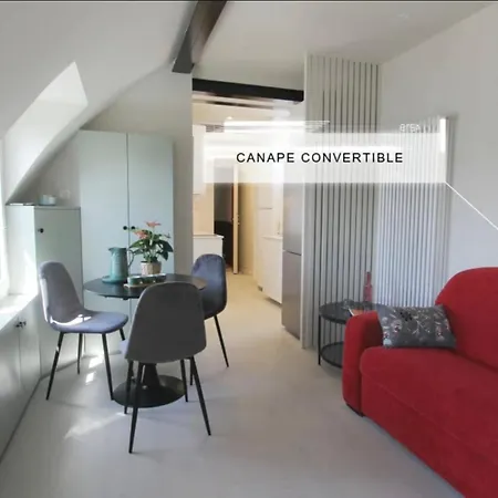 Renove Sous Les Toits En Plein Centre De